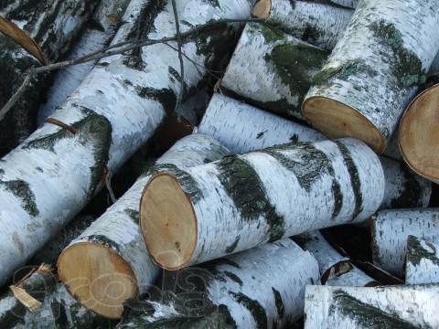 Купить дрова березовые не колотые, купить не колотые дрова с доставкой, продажа березовых дров, дрова в спб