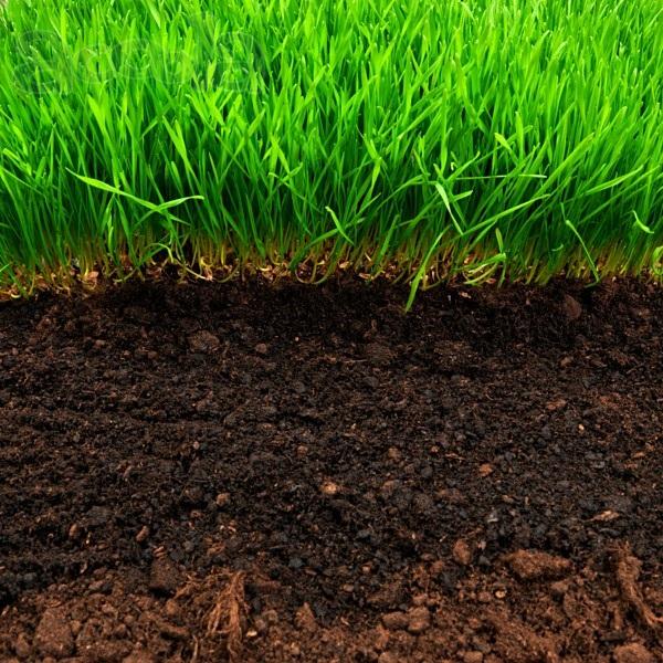 Почва для устройства газона навалом
